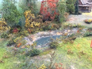 070815_sawdust scenery small pond 1