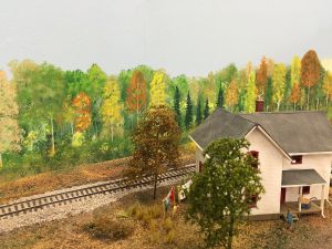 100815_backdrop_second_attempt_4